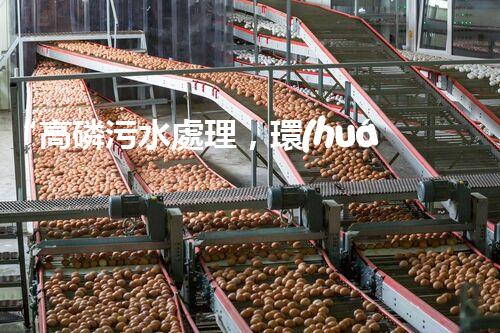 “高磷污水處理，環(huán)保先鋒，守護碧水藍天！”